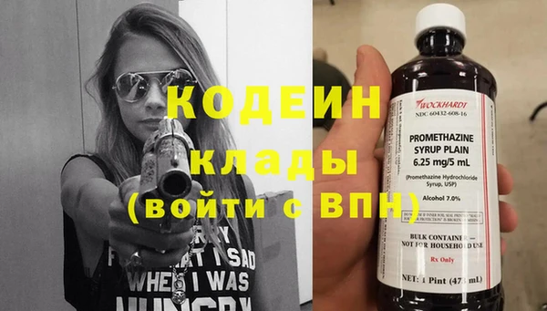крисы Ветлуга