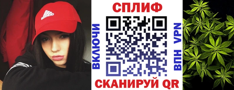 Каннабис индика  Пыталово 